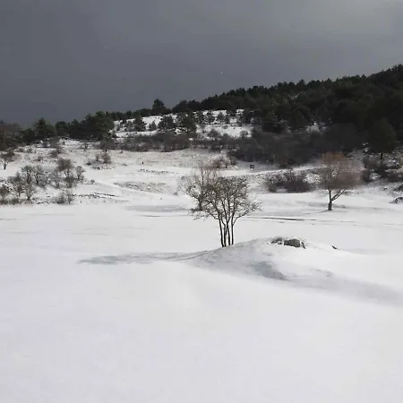 Saura Alcalá de la Selva