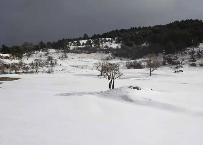 Saura Alcalá de la Selva